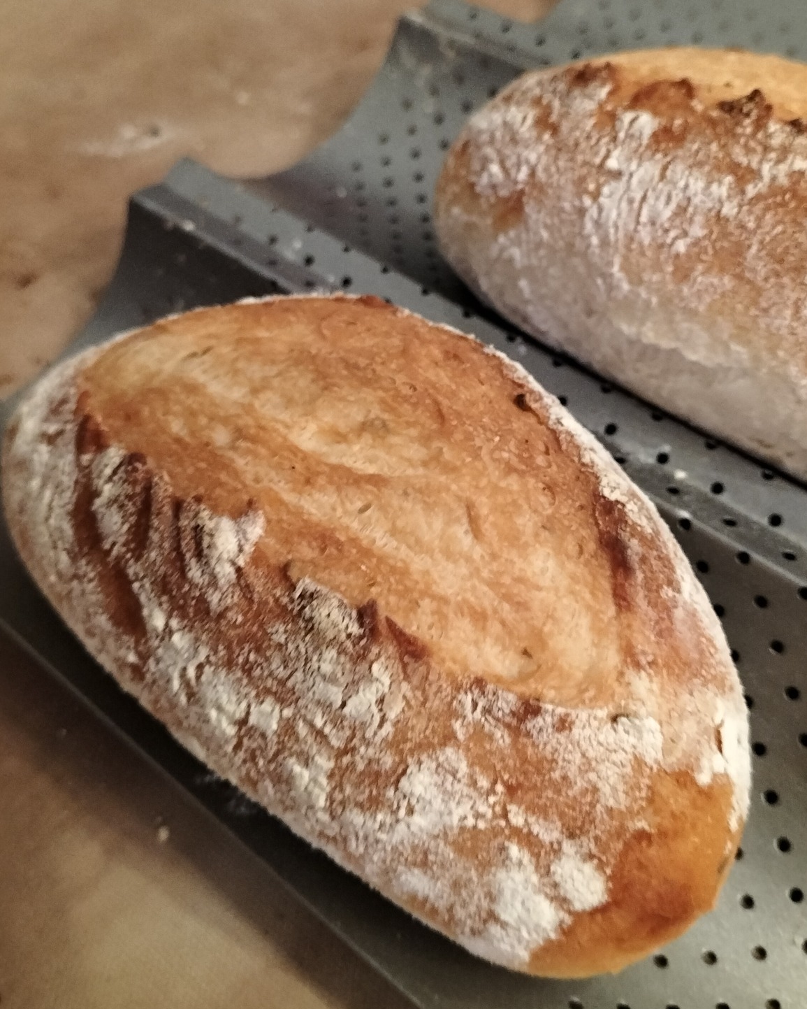 麵包知識-别再弄錯法式鄉村麵包了！